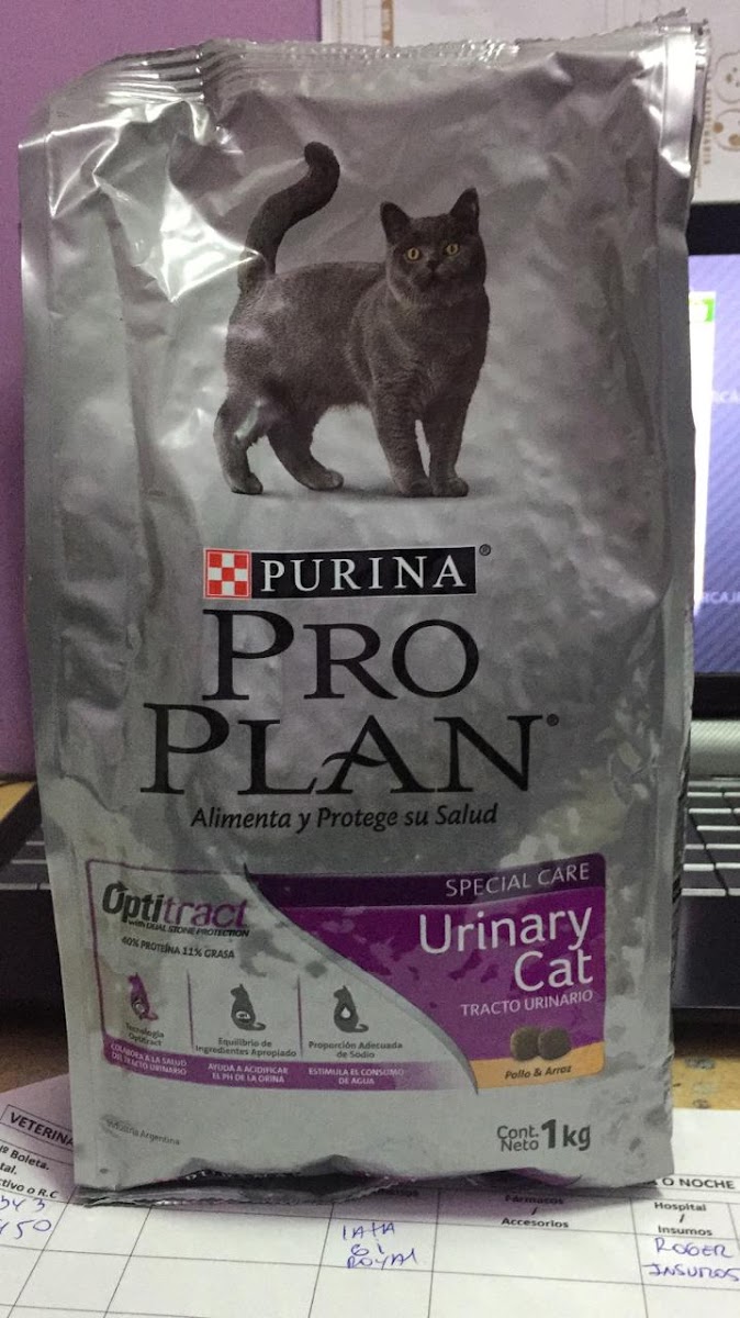 Alimento para gatos disponible en la tienda